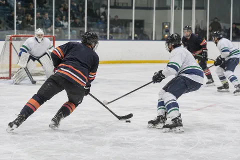 科切拉谷火鸟队客场对阵阿伯茨福德 Canucks