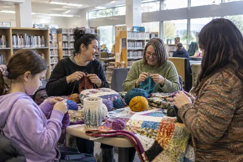 Knit & Stitch