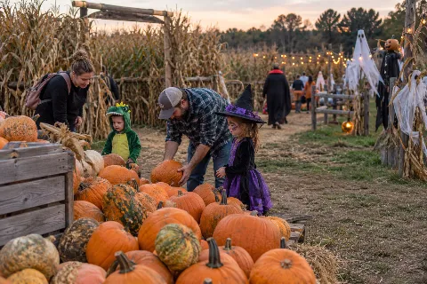 ENCHANTED AT KASSA: FROM SEED TO SPIRIT
