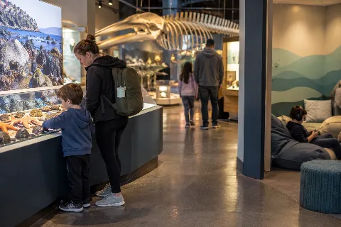Sensory Friendly Sundays