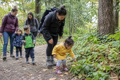 Little Explorers