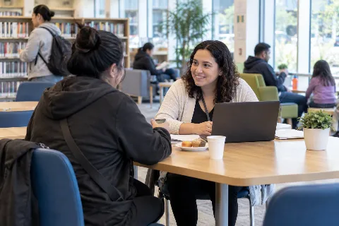 Community Services Connector Program