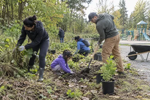 Nature Work Parties