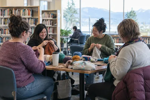 North Shore knitters