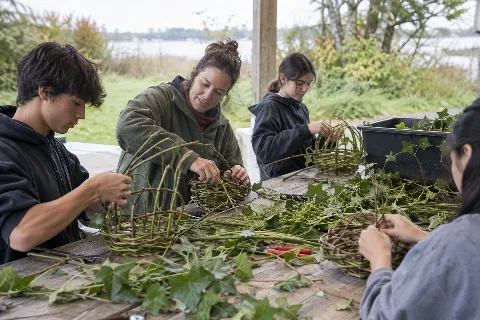 Weaving Sustainability: Basket Making from Invasive Ivy
