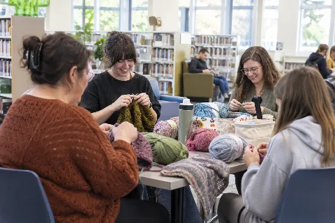 Knit & Crochet Club