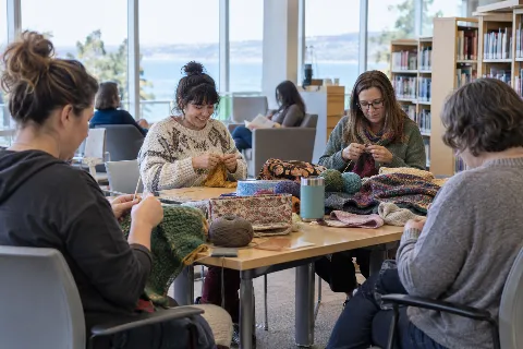 Knit & Stitch