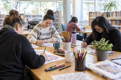 Creative Colouring for Adults