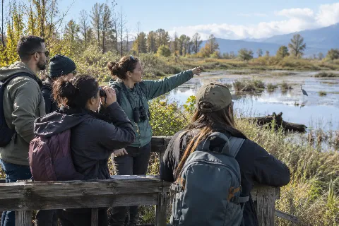 Wetland Ecology Walk