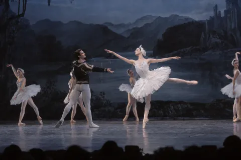 The Swan Lake
