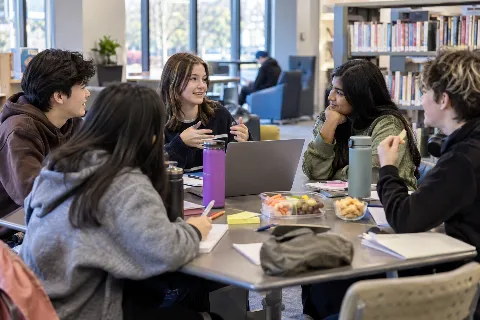 Teen Advisory Group [TAG] Meetings