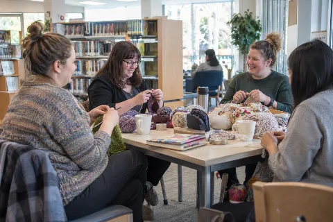 Knitters & Natters