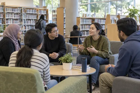 Conversations in the Library