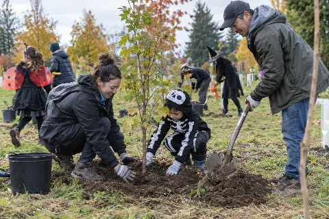 Halloween in the Urban Forest: Community Tree Planting