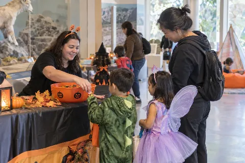 Sensory Friendly Trick or Treating