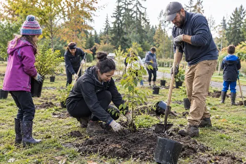 Community Tree Planting