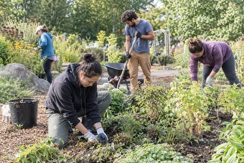 Garden Work Parties
