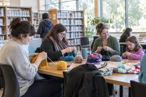 Knit 'N Stitch