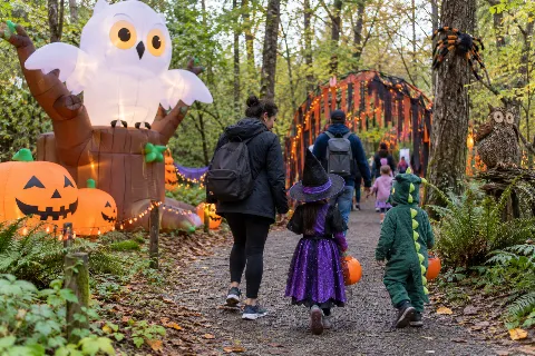 Halloween Hoot