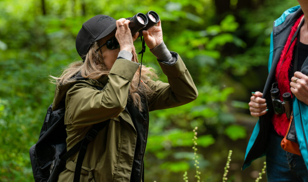 FREE October Bird Tours